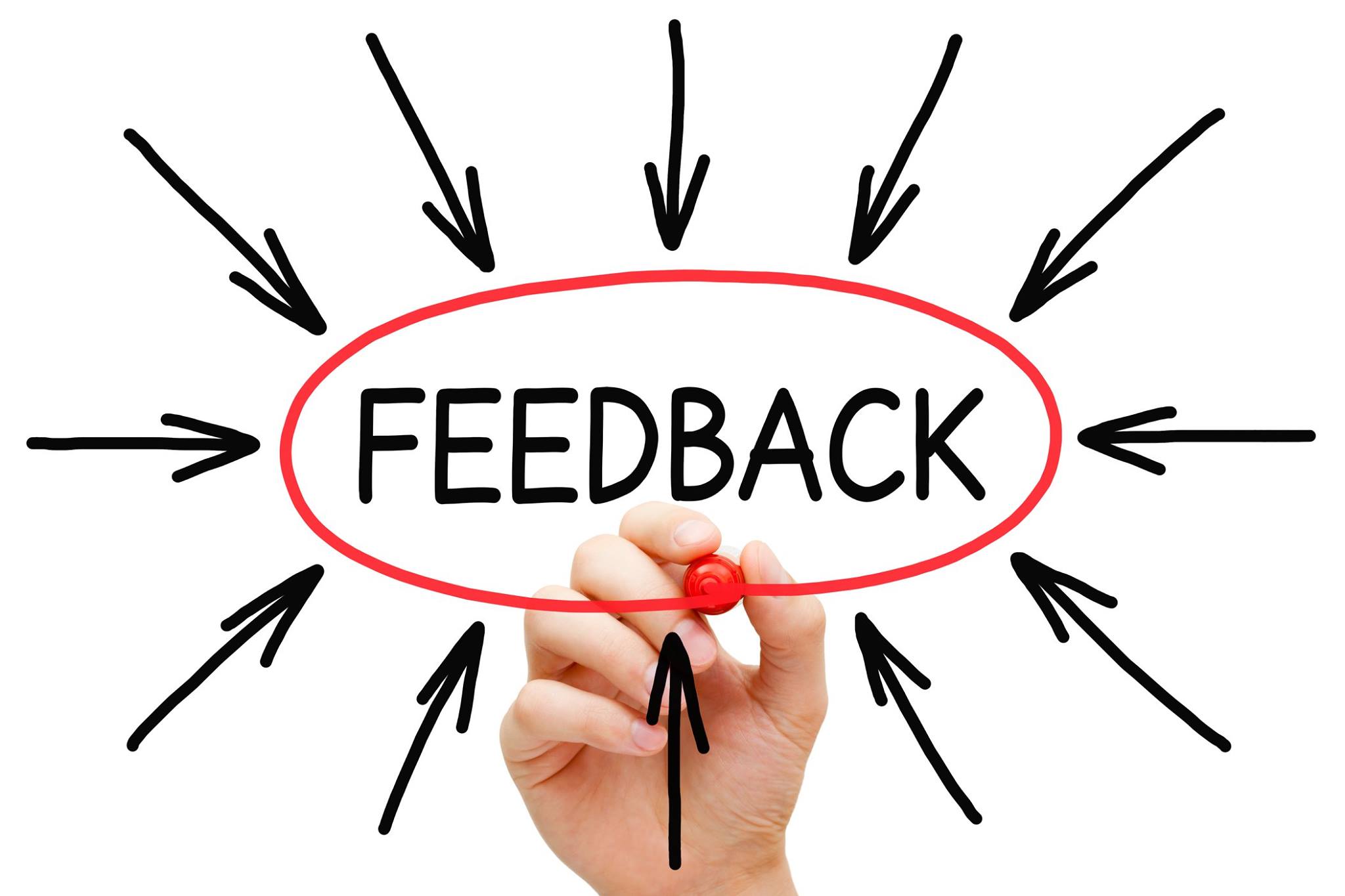 FEEDBACK