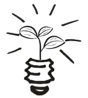 plant in bulb